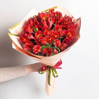 წითელი ალსტრომერია 2015