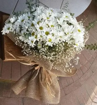 ჰოლანდიური ქრიზანთემა და გიფსოფილა