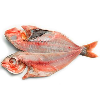 Besugo Limpio Entero 1 Ud.