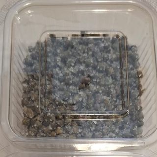 Capperi di Pantelleria (200gr circa)