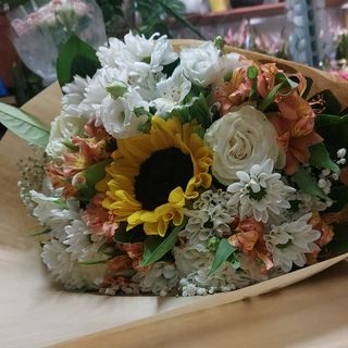 Rosa bianco assorbenti arancione anche bianco fiori campo Bianco è bella 