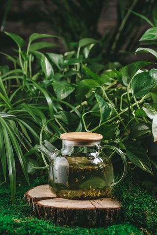 МОЛОЧНЫЙ УЛУН  (700 мл.)