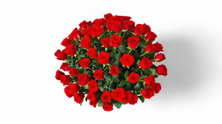 101 crvena ruža korpa LUX