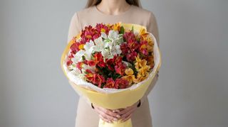 შერეული ალსტრომერიის თაიგული