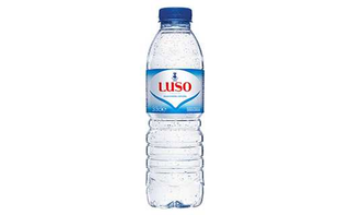 Agua S/ Gas 0,5L