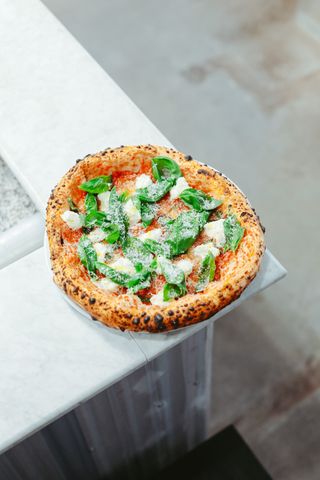 Margherita della regina