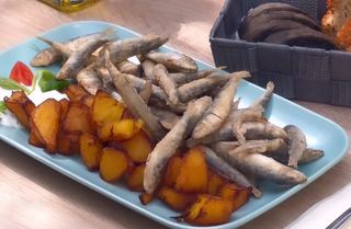 Male frigane ribice papaline