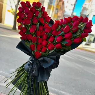 Lovay