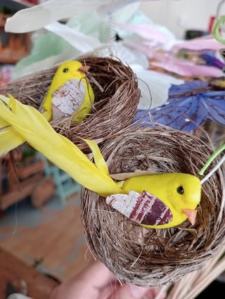 Pin Pájaro en nidito