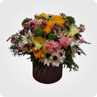 პატარა კომპოზიცია N 5