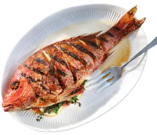 Grilled Snapper