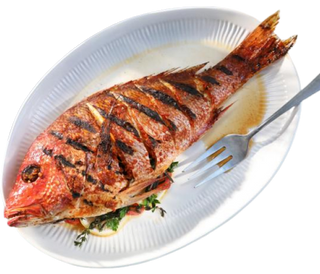 Grilled Snapper