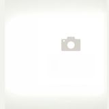 223. Китайски Чин Цън Ку с краставица (350г)