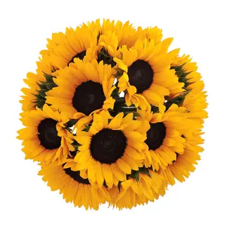 Bouquet girasoli  