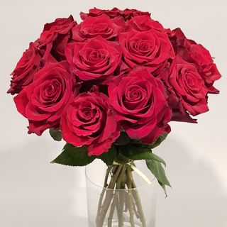 Buchet 15 trandafiri rosii