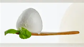 Bufala