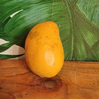 Mango - 1 pezzo