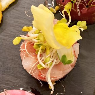 Tartare di tonno