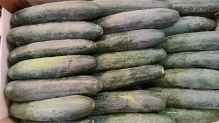 Cetrioli 1 kg