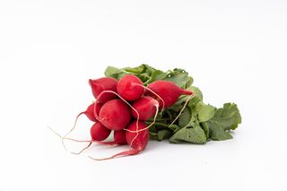 Rzodkiewka polska. 1 pęczek