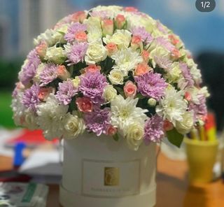 Bio 024 - Boxe Florale