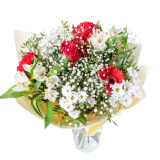 Fantazja z gipsówki 