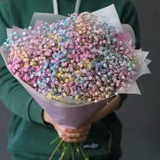 ფერადი გიფსოფილა