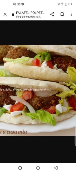 Panino con falafel