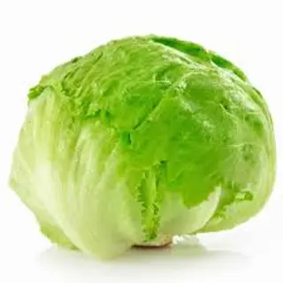 Escarola Kg.
