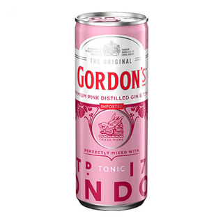 Gordon's Premium Pink Gin & Tonic Can, 250ml