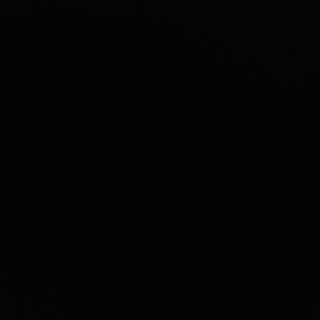 Salata de urechi de lemn