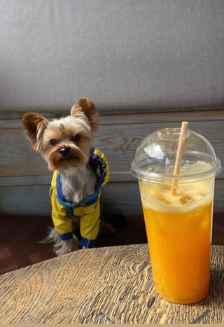 Фреш апельсиновий (250мл) 