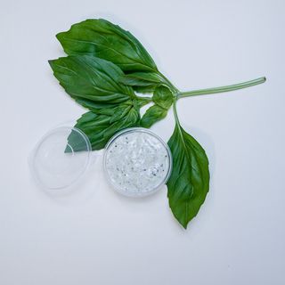 Salsa De Albahaca Y Apio
