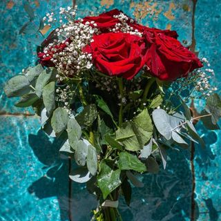 Ramo de 6 Rosas Rojas