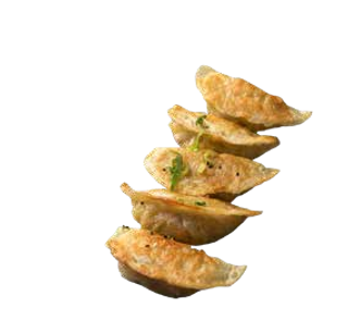 18 Ravioli vegetariani griglia 5 pezzi