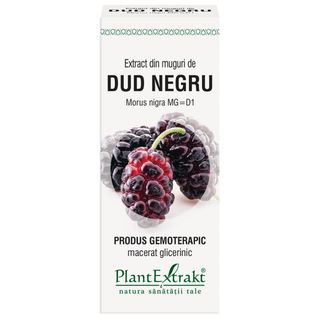 Extract din muguri de dud negru (MORUS NIGRA .)