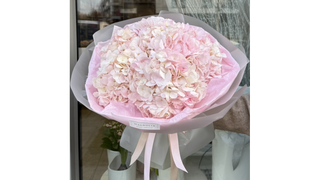 Bukiet 3 jasnoróżowych hortensji