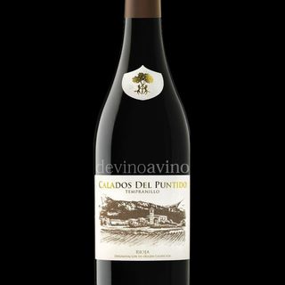 Vino Tinto D.O. Rioja Calados del Puntido 75 cl.
