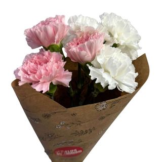 Pack 6 claveles multicolor