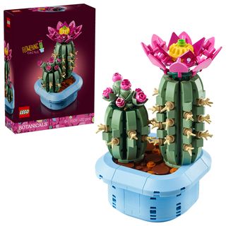 Cactus înflorit - 11509