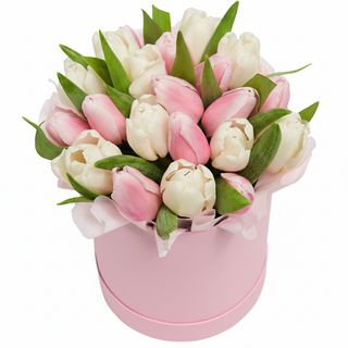 Квіти в коробці"21 білих та рожевих тюльпанів"