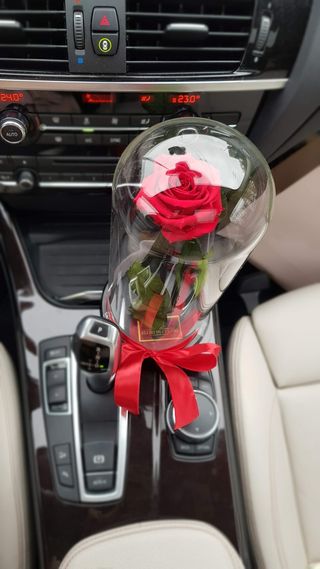 Aranjament cu trandafir criogenat in cupola ar462