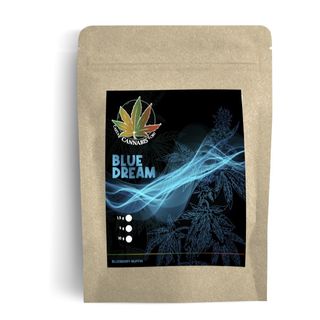 Blue Dream - Blueberry Muffin 10g