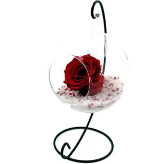 Trandafir criogenat natural în bol de sticlă pe picior metalic
