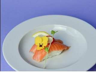 44. Salmon - 2 pezzi