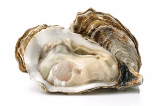 Ostriche Gillardeau lisce 2 pezzi