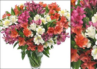 Ramo alstroemerias mediano