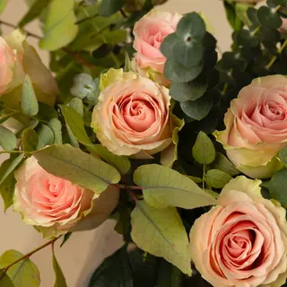 Tallo de rosa frutteto