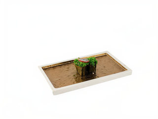 Gunkan wakame