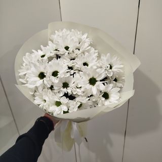 5 галузок білої хризантеми (ромашка)